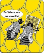 cartoon bee map.PNG
