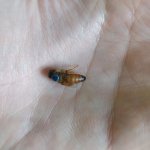 Cropped_Image1747482449854_144823.jpeg Cropped_Image1747482449854_144823.jpeg