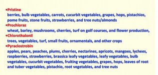 Chemical reactions 2.jpg