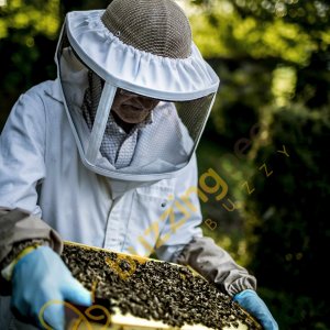 beekeeper-holding-an-inspection.jpg