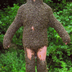 bee suit