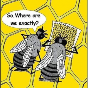 cartoon bee map